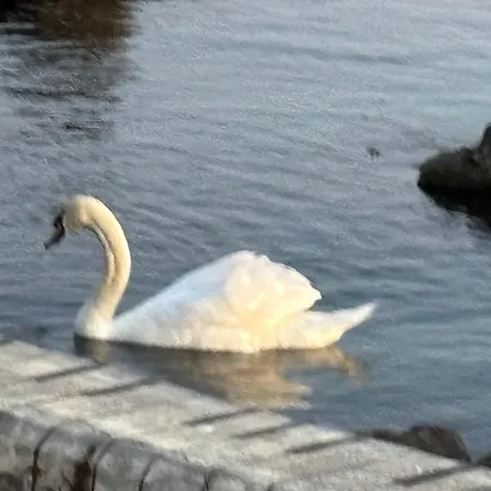 Alma Del Mar - Miadia Grand Resort,